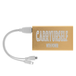 CARRYURSELF Power Bank Companion